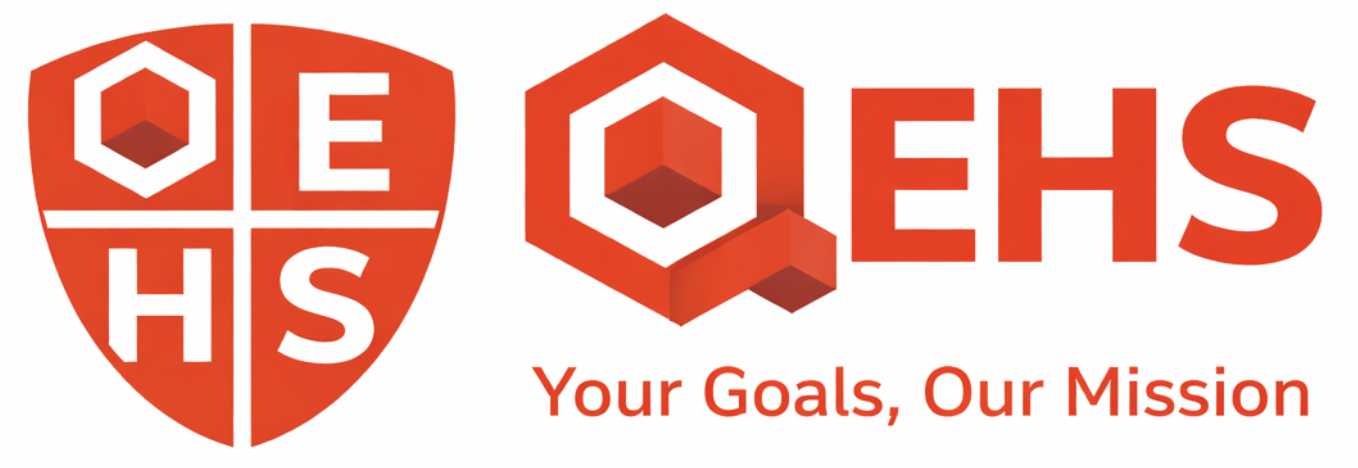 QEHS System Logo